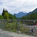 Der Zaun im Nirgendwo  -  eine Strasse durch den Nationalpark auf Vancouver Island