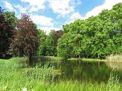 Teich im Schloßpark