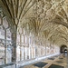 Gloucester Cathedral: Cloisters