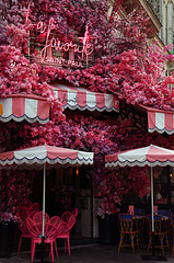 La Favorite Saint-Paul . Une façade fleurie pour voir la vie en rose .