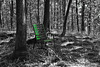 Ein Stühlchen steht im Walde ... A little chair stands in the forest ...