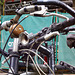 fahrrad-1121-1123 Panorama-01-07-17