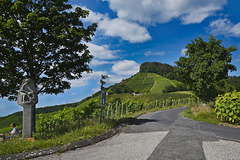 Einer der steilsten Weinberge in Deutschland - One of the steepest vineyards in Germany
