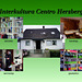 Interkultura Centro Herzberg