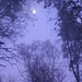 Winter moon