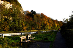 Two autumn benches