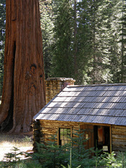Galen Clark Museum, Yosemite