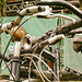 fahrrad-1121-1123 Panorama-01-07-17aa