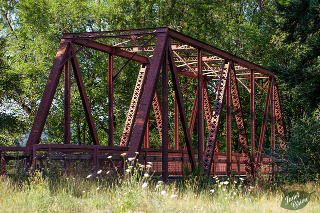57/366: Cottage Grove Train Bridge