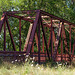 57/366: Cottage Grove Train Bridge