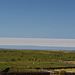 Bolivia, Salar de Uyuni, Alpaca Pasture on the North Coast