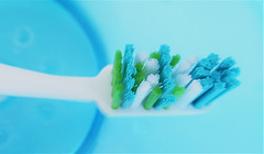 Macro Mondays: Thema "Zahnbürste"