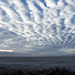 Hoar frost and Mackerel sky