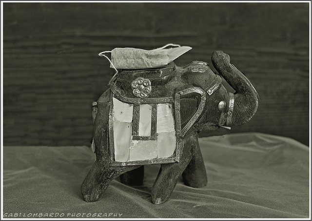 The 50 Images Project- tea bag- 7/50 -on the road