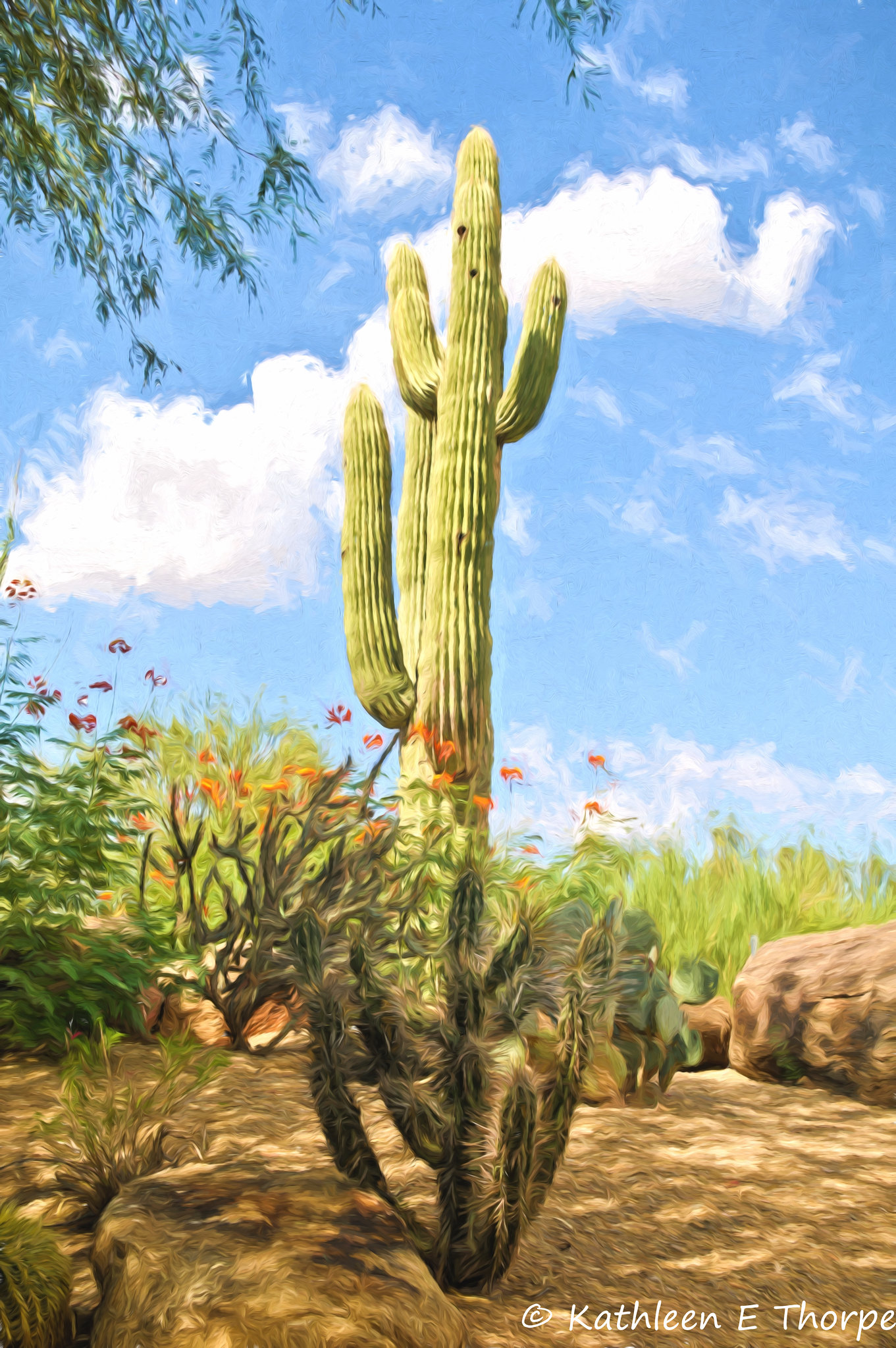 Saguaro Cactus, Boulders Arizona, Topaz Filter Impressionistic Van Gogh II - 052615