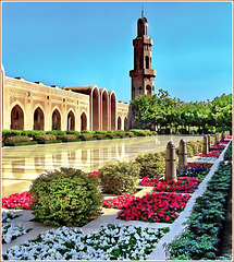 Oman : la grande moskea della capitale Mascate - the Sultan Qaboos mosque