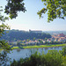 Blick auf Schloss und Altadt von Pirna 2015