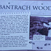 Bantrach Wood signage
