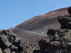 Mount Etna- Silvester Craters