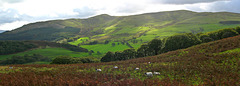 Lords Seat and Broom Fell over Wythop Valley from Sale Fell