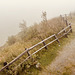 misty mountain fence
