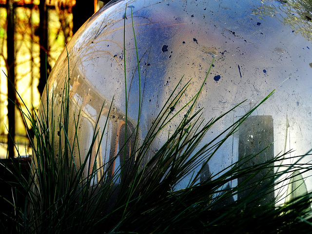 Glass Cloche and Reflections 1