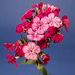 Floral Bouquet 042716-001