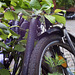 fahrrad-1127-1129 Panorama-01-07-17