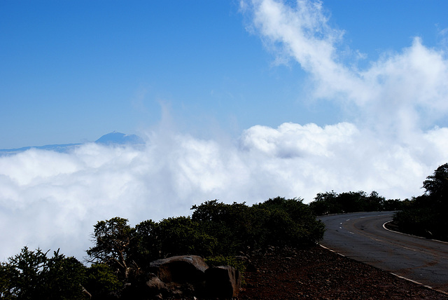Über den Wolken auf La Palma - wie der Teide auf Teneriffa... Above the clouds on La Palma - such as the Teide on Tenerife... ©UdoSm