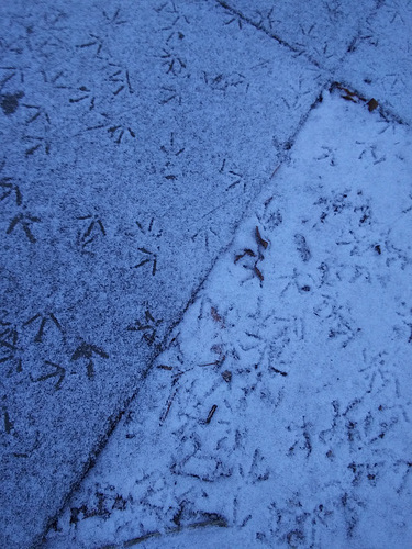 20210124 171032