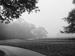 HFF from a misty Attingham Park