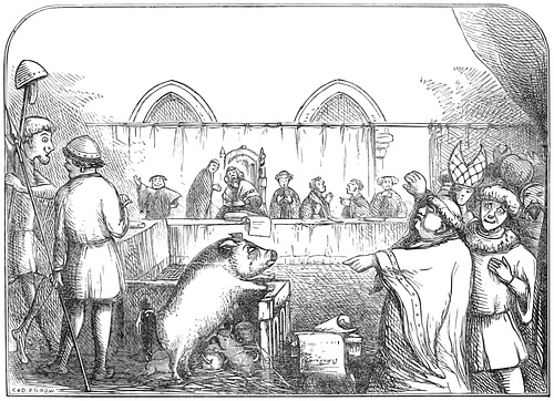 Trial of a sow and pigs at Lavegny (1457)