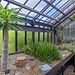 Cacti House, Botanic Gardens, Glasgow