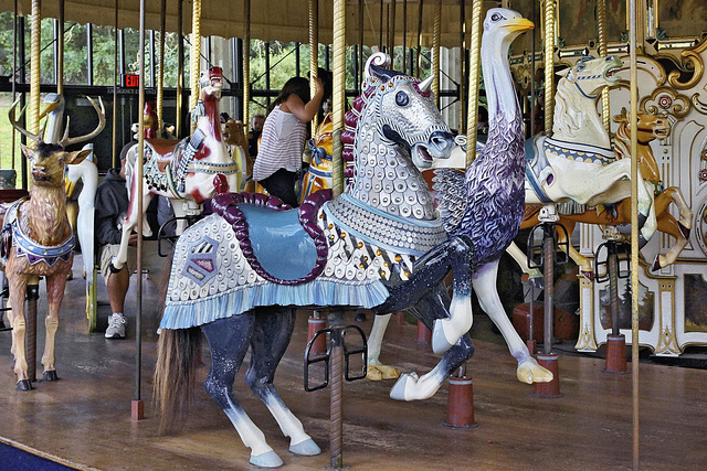 The Ostrich and the Unicorn – Golden Gate Park, San Francisco, California