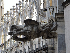 Milano, gargoyle on the Cathedral