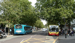 HBM: Arriva 3566 (KX09 GYT) and Red Rose Travel 50562 (Y26 RRT) in St. Albans - 8 Sep 2023 (P1160435)