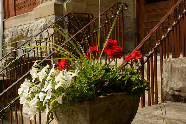 A Planter at the Old Courthouse