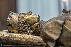 Les tombeaux des ducs de Bourgogne: « Charles le Téméraire »
