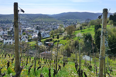 Blick auf Ahrweiler