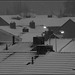 Wait of white roofs ?
