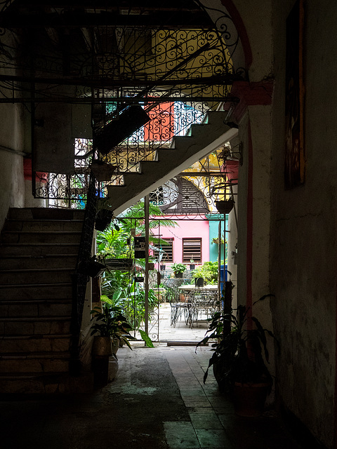 Behind the houses in Havana, Cuba