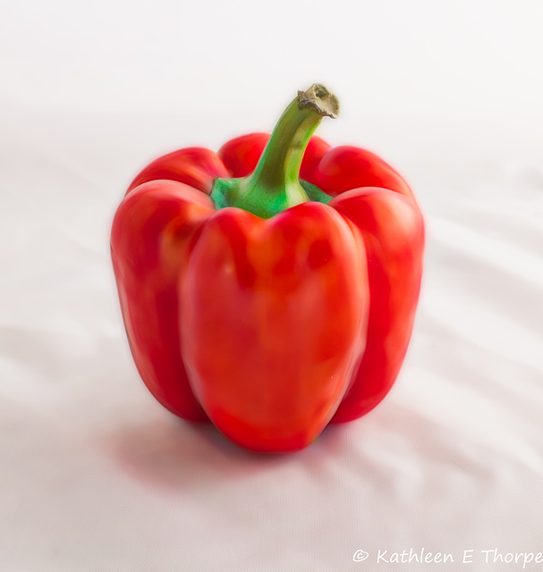 Red Bell Pepper High Key, First Place, Florida State Fair 2017, Photo Manipulation Category