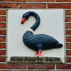 Leeuwarden 2018 – Black Swan
