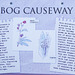 The Bog Causeway