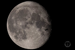 Moonflight ++ Flug zum Mond