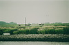Pferde im Deichvorland bei Wischhafen 1991, Blick von der Auto-Fähre