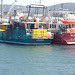 Squid boats in Triabunna Harbour