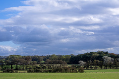 Cheshire landscape (1)
