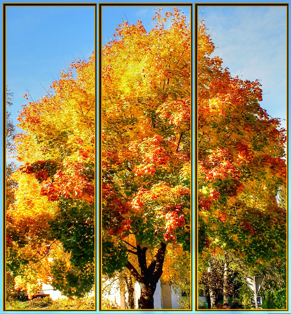 Wallpaper Herbst. Autumn. Automne. Autunno. ©UdoSm