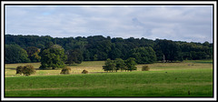 Cheshire landscape